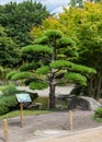 Beautiful view of Japanese Garden in Planten um Blomen park with famous Heinrich-Hertz-Turm radio telecommunication