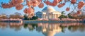 Beautiful View Of The Jefferson Memorial Adorned With Cherry Blossoms Royalty Free Stock Photo