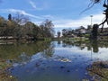 Beautiful view of Kodaikanal lake, Tamilnadu, India. Royalty Free Stock Photo