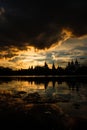 Beautiful view of the Kremlin Izmailovo through a silver-grape p