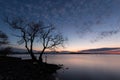 Beautiful view of a lake at dusk, with a tree in the foreground, perfectly still water and a mackerel sky Royalty Free Stock Photo