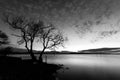 Beautiful view of a lake at dusk, with a tree in the foreground, perfectly still water and a mackerel sky Royalty Free Stock Photo