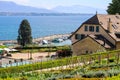 Beautiful view at lake Geneva or Lac Leman and Alp mountains through the garden on hill of Nyon Royalty Free Stock Photo