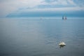 A beautiful view of Lake Geneva with a white goose floating on alpine mountain background Royalty Free Stock Photo