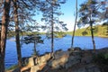 Beautiful view on lake through green tall trees on a top of rocks. Gorgeous nature landscape backgrounds. Sweden.