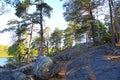 Beautiful view on lake through green tall trees on a top of rocks. Gorgeous nature landscape backgrounds. Sweden.