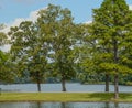 Beautiful view of Lake Lamar Bruce State Park in Saltillo, Lee County, Mississippi