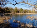 View of Lake Murray in autumn framed by trees, Lake Murray State Park Royalty Free Stock Photo