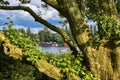 A beautiful view by the lake on a summer evening. Image taken through tree branches. Also a vintage effect is applied to the image