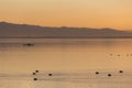 Beautiful view of a lake at sunset, with orange tones, birds on water and a man on a canoe Royalty Free Stock Photo