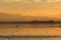 Beautiful view of Trasimeno lake Umbria, Italy at sunset, with orange tones, birds on water, a man on a canoe and Royalty Free Stock Photo