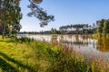 Beautiful view at the lake surrounded by trees and rushes, illuminated by evening sun. KrasnobrÃÂ³d, Roztocze, Poland