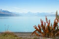 Beautiful view of Lake Tekapo in autumn Royalty Free Stock Photo