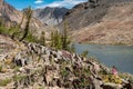 Beautiful view of the 20 Lakes Basin in Californias Eastern Sierra Nevada. Valley with lake and cliffs along the trail Royalty Free Stock Photo