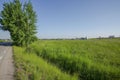 Beautiful view of landscape with green fields, green forest trees and blue sky.  Gorgeous backgrounds Royalty Free Stock Photo