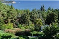 Beautiful View of landscape park with many rare and relict evergreens on the Black Sea coastline. Cypress trees, cedars
