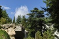 Beautiful view of landscape park with many rare and relict evergreens, cascade waterfall with large stones wall in park