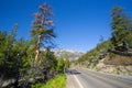 View of beautiful landscape scenery form Mount Charleston Nevada Royalty Free Stock Photo