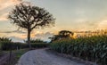 Beautiful view of the landscape at sunset