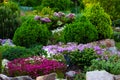 Beautiful view of the landscaped garden in the backyard. Landscaping landscaping area in summer Royalty Free Stock Photo