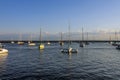 A beautiful view of a large marina full of boats in a large bay on a sunny day