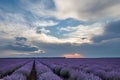 Beautiful view with a beautiful lavender field on sunset Royalty Free Stock Photo