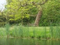 Beautiful view of Leiden, Netherlands, featuring its picturesque canals and lush green parks Royalty Free Stock Photo