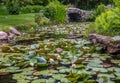 Beautiful view of the lily pond in Historic Blithewold Mansion, Gardens & Arboretum