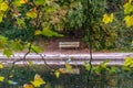 Beautiful view lonely bench lake park outdoor reflection green autumn