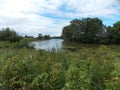 The beautiful view of the long forest lake with green grass on the bank.