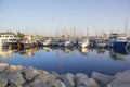 Beautiful view of the main street of Larnaca and Phinikoudes beach