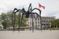Beautiful view of the Maman bronze sculpture near the Notre Dame Cathedral Basilica in Ottawa