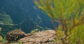 Beautiful view of the Masca Gorge or Barranco de Maska from the peak of the mountain peak. Rocky mountains in the Royalty Free Stock Photo