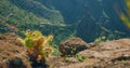 Beautiful view of the Masca Gorge or Barranco de Maska from the peak of the mountain peak. Rocky mountains in the Royalty Free Stock Photo