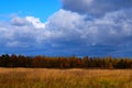 Beautiful view of the meadow in the autumn. Royalty Free Stock Photo