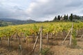 Beautiful view of the medieval town of San Gimignano Royalty Free Stock Photo