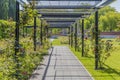 View of a metal pergolas in the park Royalty Free Stock Photo