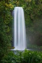 Beautiful view of Millaa Millaa Falls cascading down, Atherton Tablelands of North Queensland Royalty Free Stock Photo