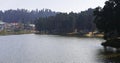 beautiful view of mirik lake surrounded by pine forest, located on himalaya mountains foothills near darjeeling Royalty Free Stock Photo