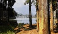 beautiful view of mirik lake surrounded by pine forest, located on himalaya mountains foothills near darjeeling Royalty Free Stock Photo