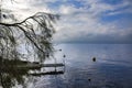 Beautiful view by a misty morning at sunrise on Geneva Lake or Leman lake in Montreux Royalty Free Stock Photo