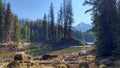 A beautiful view of Moose Lake in Jasper National Park in Canada