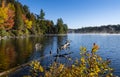 Morning Mist Over a Lake in Autumn in Algonquin Park Royalty Free Stock Photo