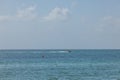 Beautiful view of motor boat moving across blue waters of Atlantic Ocean. Miami Beach. Royalty Free Stock Photo