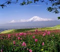 Beautiful view of Mount Ararat