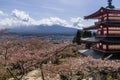 Beautiful view of Mount Fuji from the Chureito Pagoda, with cherry trees in bloom in spring, Arakura, Fujiyoshida, Yamanashi Prefe Royalty Free Stock Photo