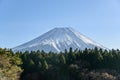 View of Mount Fuji with a beautiful foreground of green pine trees, Japan. Royalty Free Stock Photo