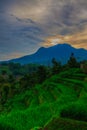 beautiful view mount Manglayang in Sukasari - Sumedang