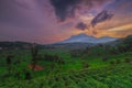 beautiful view mount Manglayang in Sukasari - Sumedang