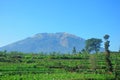 The beautiful view of Mount Merbabu, Boyolali, Indonesia Royalty Free Stock Photo